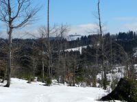 147_Nicht_weit_waere_es_zum_Mittagsberg-Polodnik_2019_03_29_ft