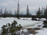 152_Vereister_Latschensee_2019_04_12_ft
