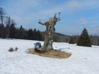 155_Fest_gefrorener_Schnee__am_Hochschachten_2019_04_12_ft