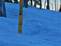 167_An_geschuetzten_Lagen_fast_zwei_Meter_Schnee_2019_04_18_bm