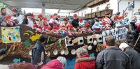 HaFa06-Die-Kindertagesstaette-Haselbach-schipperte-auf-einem-Piratenschiff-durch-den-Ort