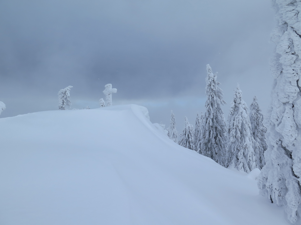 4 Vaeterchen Frost Ded Moroz ist dort eingezogen ein maechtiger russischer Zauberer
