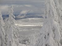 6_der_Blick_ins_Boehmische_die_Schneise_zum_Neuhuettenfilz_der_Kaltstauden