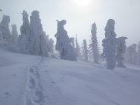 8_Fichtengnome__Bergtrolle_und_Winterhexen