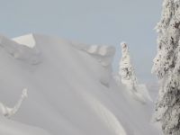 03_im_hohen_Schnee_versunkenen_Felsenriff