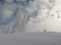 04_Wolkenfetzen_fliegen_Sonnenschatten_gleiten