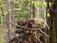 003_Der_Mensch_greift_seitdem_nicht_mehr_in_die_Natur_ein