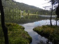 009_Langsam_ruehrt_sich_der_Fruehling_am__Kleinen_Arbersee
