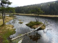 014_Idylle_am_Westufer