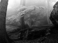 018_mystischer_Kaitersberg