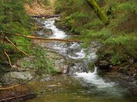 030_Buechelbach