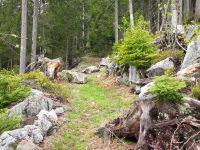 032_Weg_vom_Reindlhof_hinauf_zum_Zwercheck