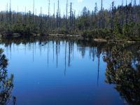 040_Latschensee_-_das_groesste_Moorauge_im_Bereich_des_Hochschachtengebiets