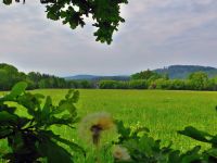 046_Vorwaldlandschaft_bei_Wiesenfelden