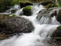 050_Seebach