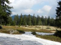 056_An_schattigen_Stellen_gibts_immer_noch_Schnee_am_Mittagsplatzl_-Arberblick