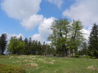 058_Hochzellschachten