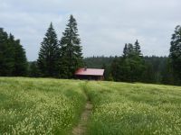 061_Huette_am_Verlorenen_Schachten