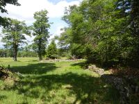 063_Reste_der_Mauer_um_die_Poschinger_Alm