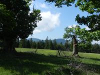 064_Ausblick_zu_den_Racheln