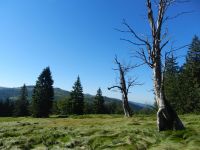 067_der_Rachel_lugt_grad_no_ueber_den_Kamm_vom_Fahnenriegel_zum_Kiesruck