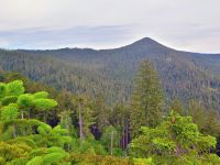 079_Blick_vom_Hochsttter_-_eine_Erhebung_noerdlich_des_Bramersbacher_Platzes