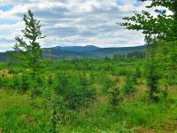 084_Blick_zum_Hochficht