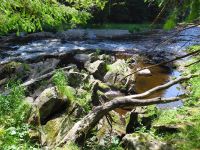 096_Kremelna-Kieslingsbach