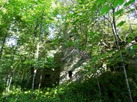 117_Der_Wald_deckt_zu_was_vom_Schulhaus_geblieben_ist