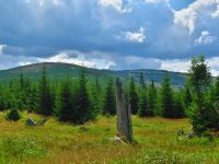 121_Lakaberg-Debrnik_vom_grenznahen_Radweg_von_Gerlova_Hut_zum_Lakasee-Jezero_Laka