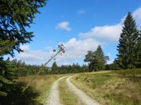 130_Rindlschachten