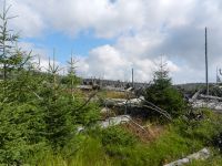 134_vom_Kyrill_gezeichnete_Sandelhaeng_noerdlich_des_Rindlschachtens