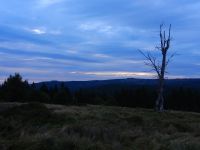 142_Jenseits_der_Grenze_der_ehemalige_Ueberwachungsturm_am_Mittagsberg-Polednik