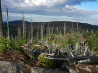 145_Steindlberg_-_einer_der_Hoechsten_in_der_Sumava