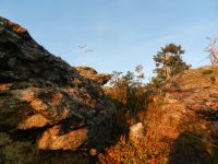 149_Spaetnachmittags_trifft_warmes_Licht_den_Kiesruckgipfel