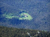 09_Schneiderberg_-_kuenische_Siedlungsinsel_unterm_Enzian_ist_schneefrei_geblieben