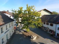 2020_10_02_05_Blick_auf_Dorfbrunnen_und_Friedenseiche