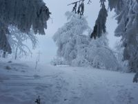 02_Winter-wunderland_Proeller