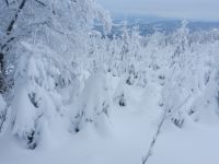 04_d_Schneemandl_gibts_am_Proeller_auch