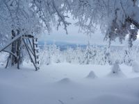 05_Winterfenster