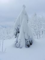 06_Schneemandl-Nachwuchs