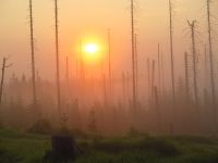 002-Sonnenaufgang-an-der-Grenze-bei-der-Poschinger-Alm---ft