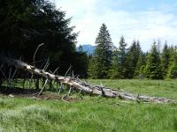 008-Arberblick-am-Ruckowitz---ft