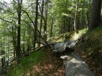 015-In-der-Gruft---ft