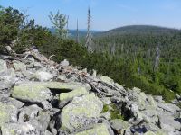 017-Blockmeer-am-Lusen---im-Hintergrund-Puerstling-im-Sumava-NP---ft
