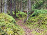 045-Weg-von-Klein-Babylon-zum-Kiesleitenberg_Kremelna---bm