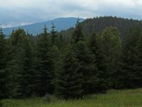 046-Ausblick-vom-einstigen-Zusch-zum-Steindlberg---bm
