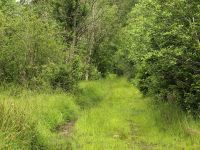047-Einsamer-Weg-zwischen-den-einstigen-Doerfern-Frauenthal-und-Stadln---bm