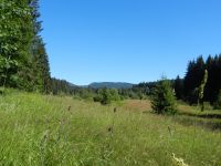 048-Reschbachtal-bei-Mauth---eine-der-schoensten-Tallandschaften-im-Woid---ft