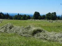 052-Hier-standen-einst-die-Haeuser-des-Dorfes-Buchwald---mit-Alpenblick---ft
